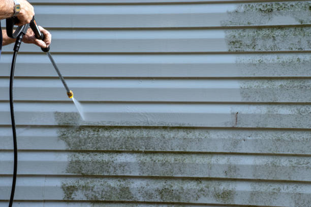 Best Siding Removal and Disposal  in Chico, CA